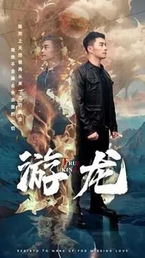 雍正王朝在线观看